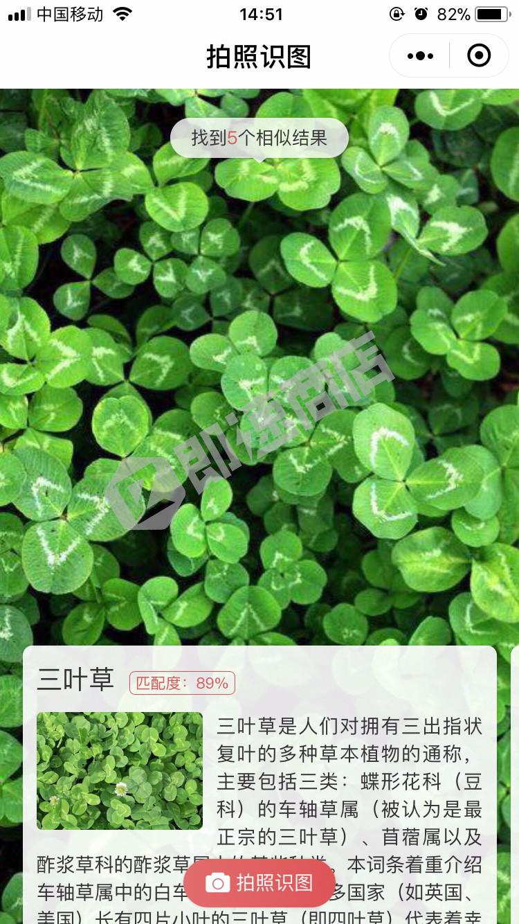 拍照识图小程序首页截图